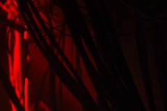gabberitalia-03.01.26-7